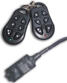Keyguard cu 2 Telecomenzi cu cod PIN